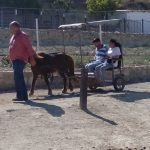 ΕΠΙΣΚΕΨΗ ΟΜΑΔΟΣ ΣΤΟ ΠΑΡΚΟ ΣΤΡΟΥΘΟΚΑΜΗΛΩΝ 20/07/2017