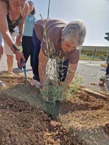 ΔΡΑΣΗ: &#8220;ΦΥΤΕΥΩ &#8211; ΔΙΝΩ ΖΩΗ ΣΤΟ ΠΕΡΙΒΑΛΛΟΝ&#8221; 05-06-2024